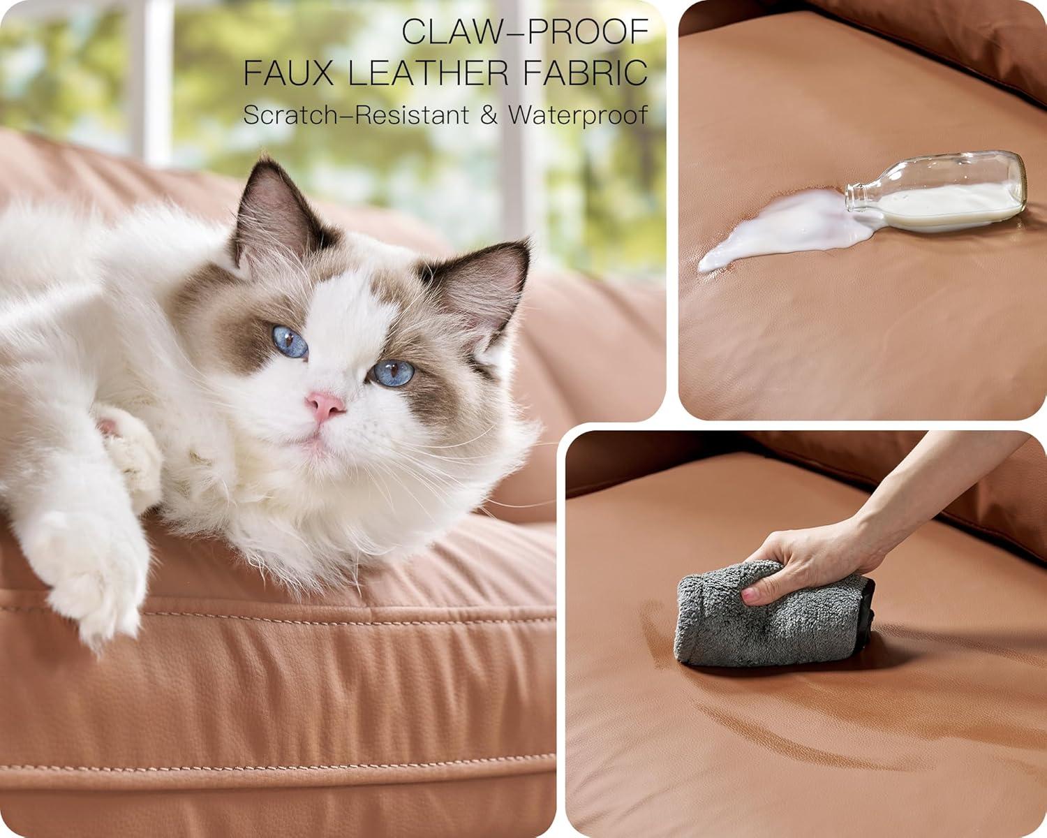Our Honest Take on the PaPaJet Modular‌ Cloud Sofa Experience
