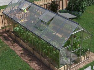 Our 6×16 Hybrid Greenhouse: Secure Setup & Space